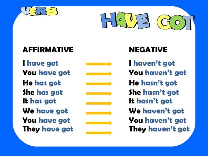 Have got ii[1] Have Got Has Got