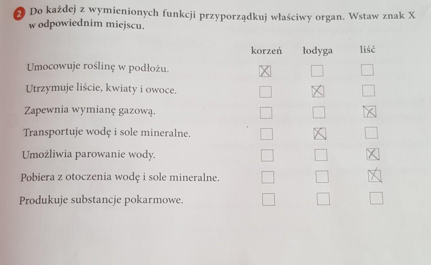 Hej. Pomóżcie! Do każdej z wymienonych funkcji przyporządkuj właściwy Przyporzadkuj Kazdy Z Wymienionych Terminow Do Wlasciwej Definicji