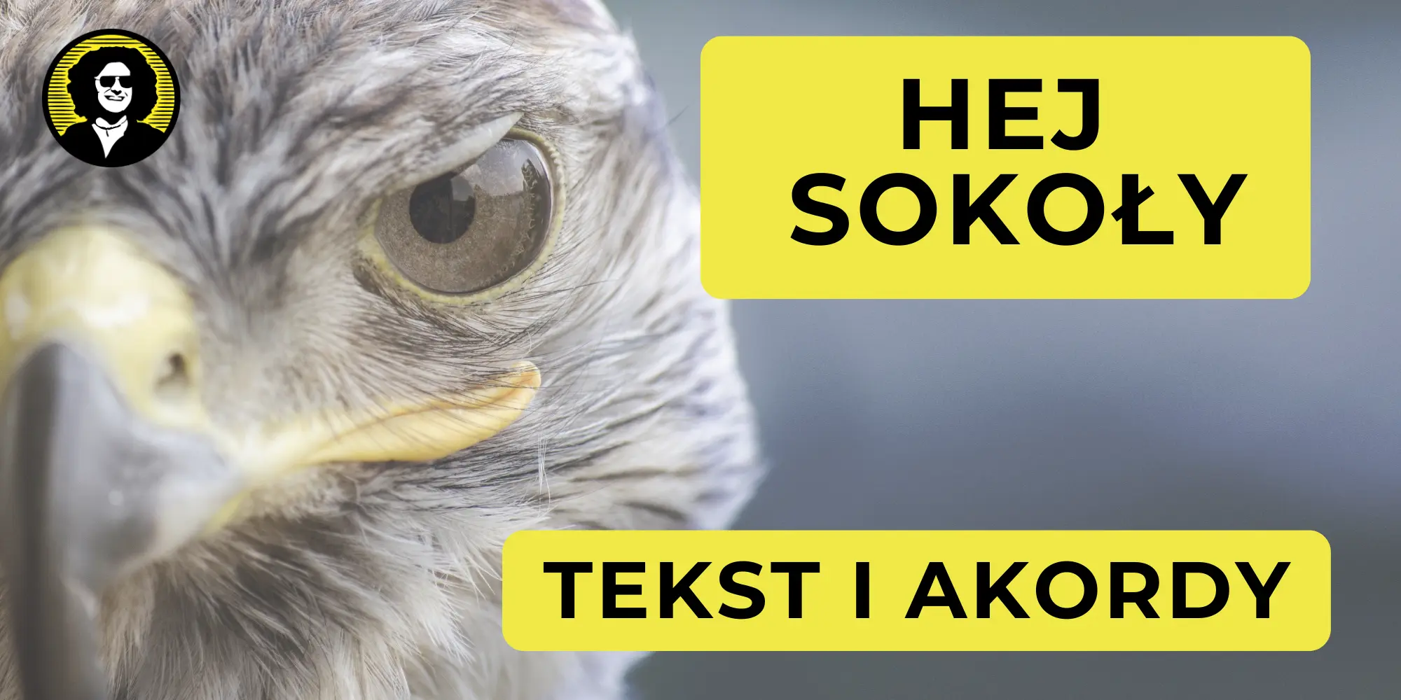 Hej Sokoły tekst i akordy | Nuty od Darka Hej Sokoly Tekst Polski