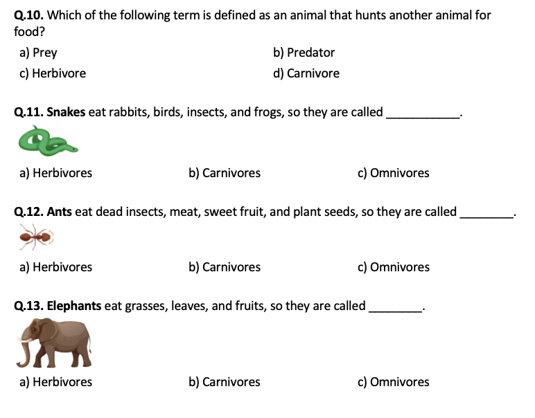 Herbivores Omnivores Carnivores Oh My Worksheet Answer Key