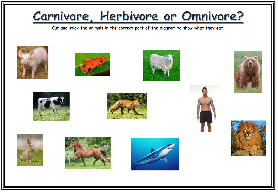 Herbivores Carnivores And Omnivores Worksheets - Free Worksheets Printable Herbivores Omnivores Carnivores Oh My Worksheet Answer Key