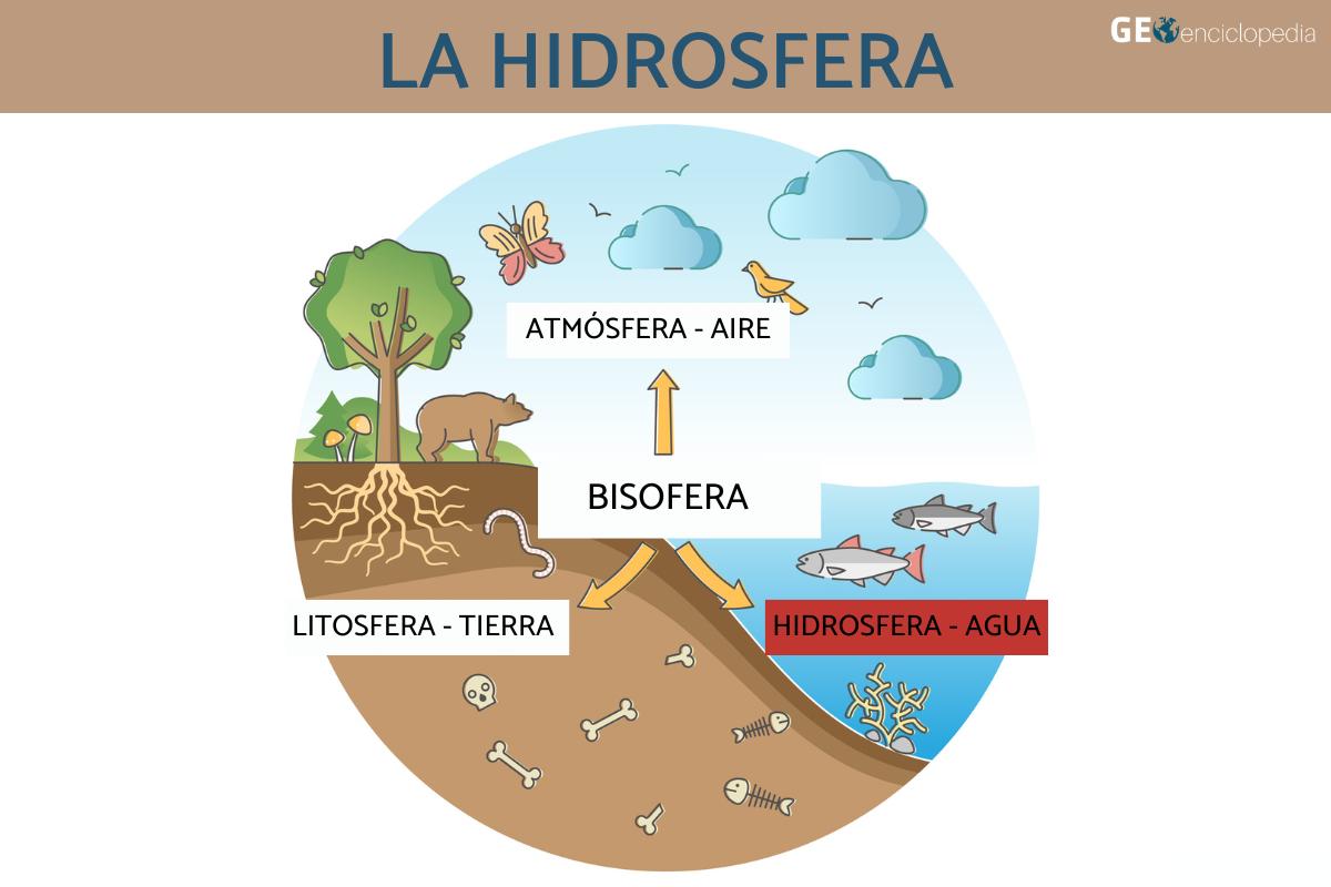 Hidrosfera: qué es y características - Resumen Hydrosfera Geografia 24