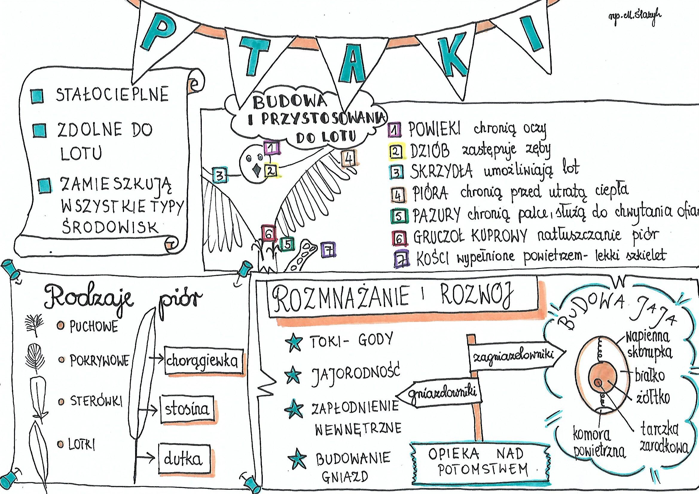 Historia 5 Klasa at Clair Azevedo blog Dzial 3 Historia Klasa 5