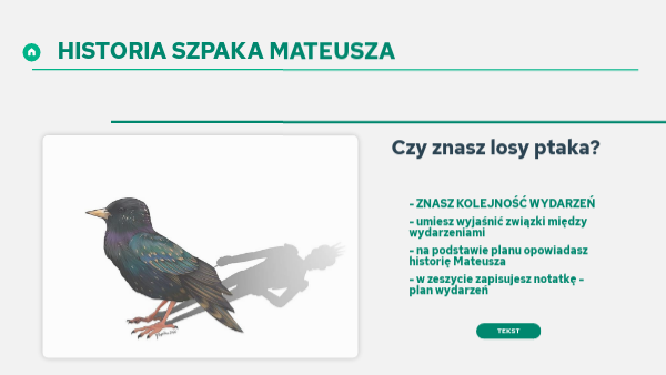 HISTORIA SZPAKA MATEUSZA Historia Szpaka Mateusza W Punktach