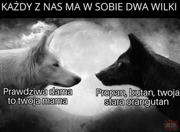 Hokus pokus czary mary twoja stara to twój stary Czary Mary Twoja Stara To Twoj Stary