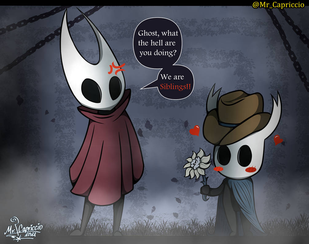 Hollow Knight Ghost X Hornet