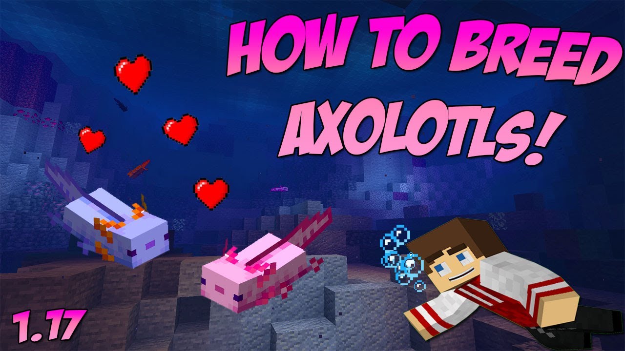 How to Breed Axolotls in Minecraft - YouTube How To Breed Fish In Minecraft