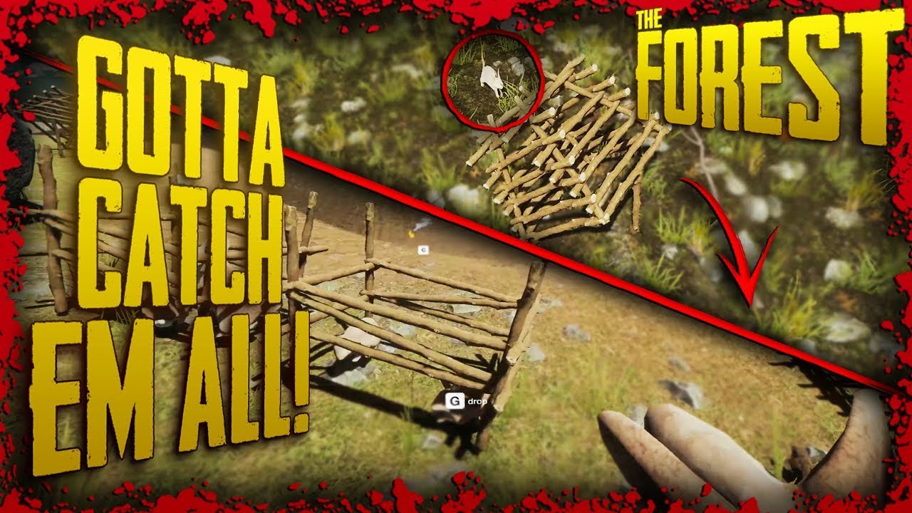 How to Catch Rabbits & Use the Animal Trap | The Forest - YouTube How To Trap Rabbits In The Forest