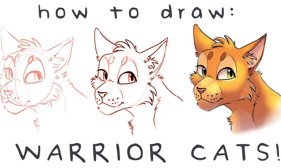 How to Draw: Warrior Cats! | Small Online Class for Ages 10-15 | Outschool How To Draw Warrior Cats