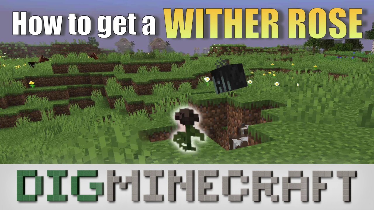How to get a Wither Rose in Minecraft - YouTube How To Get Wither Rose Minecraft