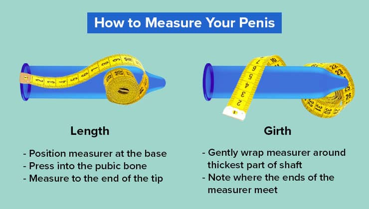How to Measure Your Penis, According to a Urologist Comment Mesure La Taille Du Penis