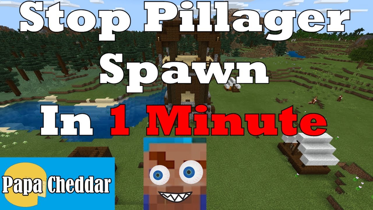 How To Stop Pillagers From Spawning