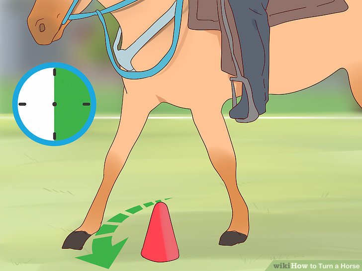 How to Turn a Horse: 8 Steps (with Pictures) - wikiHow How To Turn Into A Horse