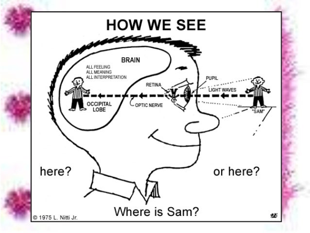 How we see things Can You See Everything