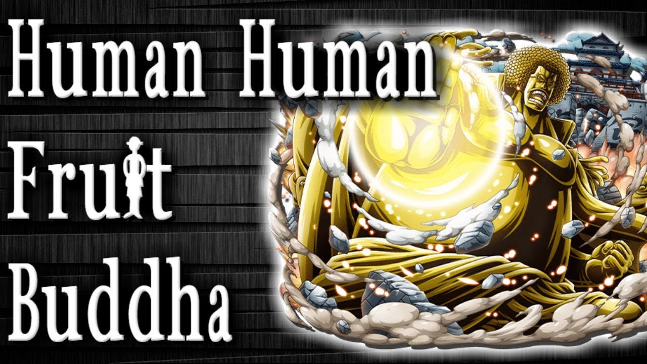 Human Human Fruit Buddha Explained - One Piece Devil Fruit - YouTube Human Human Fruit Model Buddha