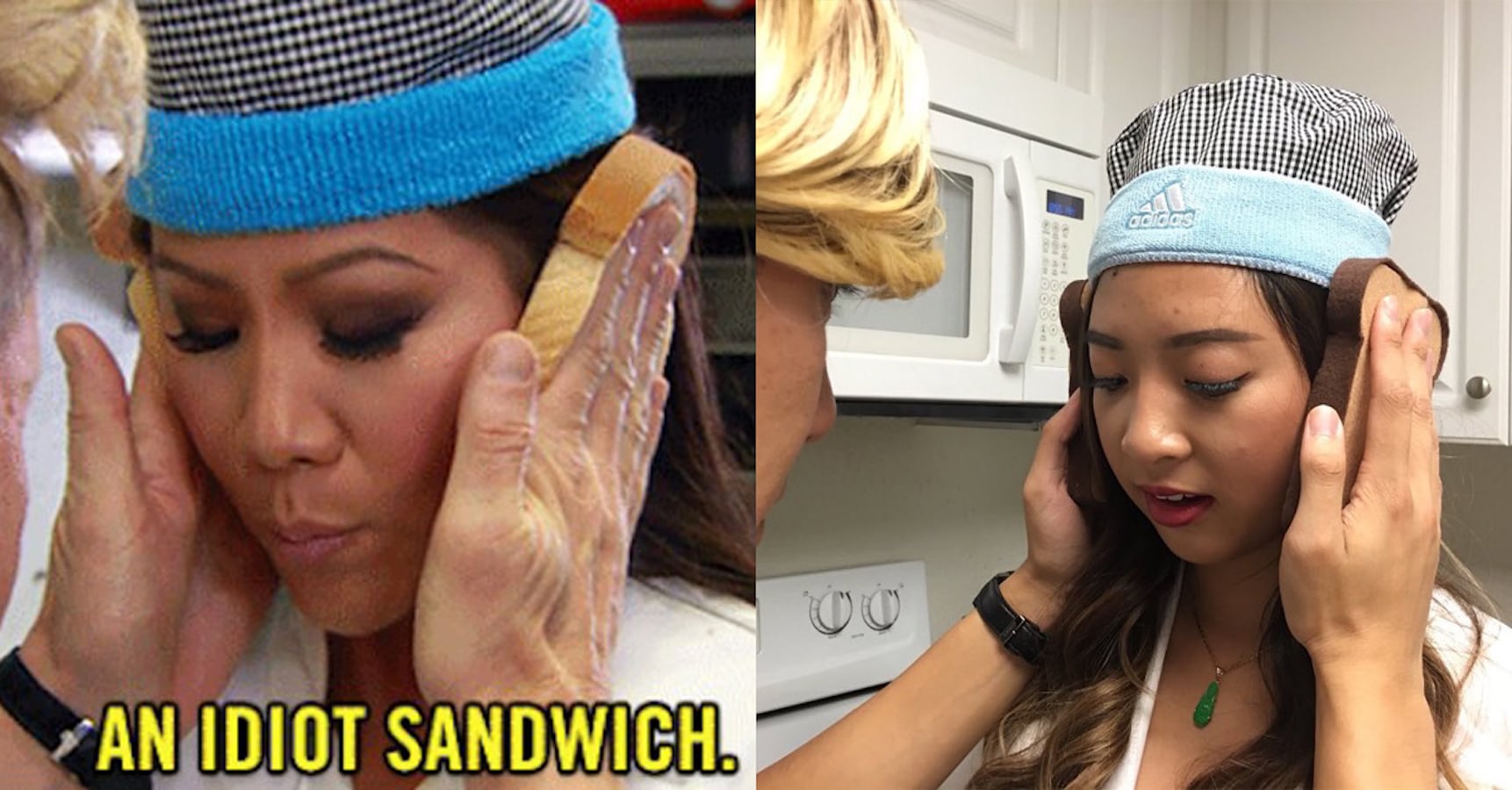 I Am An Idiot Sandwich Meme