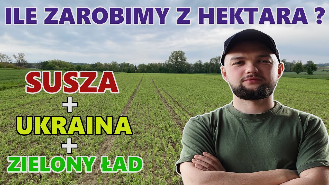 ILE KOSZTUJE HEKTAR PSZENICY, KUKURYDZY I GROCHU ? - YouTube Wysiew Pszenicy Ozimej Na Hektar