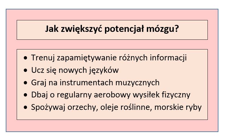 Ile procent mózgu wykorzystuje człowiek? | ekologia.pl Ile Procent Mózgu Wykorzystuje Przeciętny Człowiek