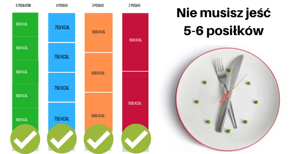 Ile Razy Dziennie Powinien Jeść Królik Miniaturka