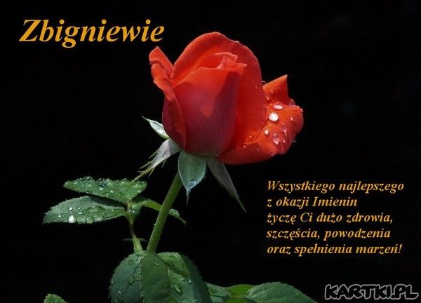 Imieniny Piotra I Pawła Zyczenia - Margaret Wiegel Imieniny Piotra I Pawla Zyczenia