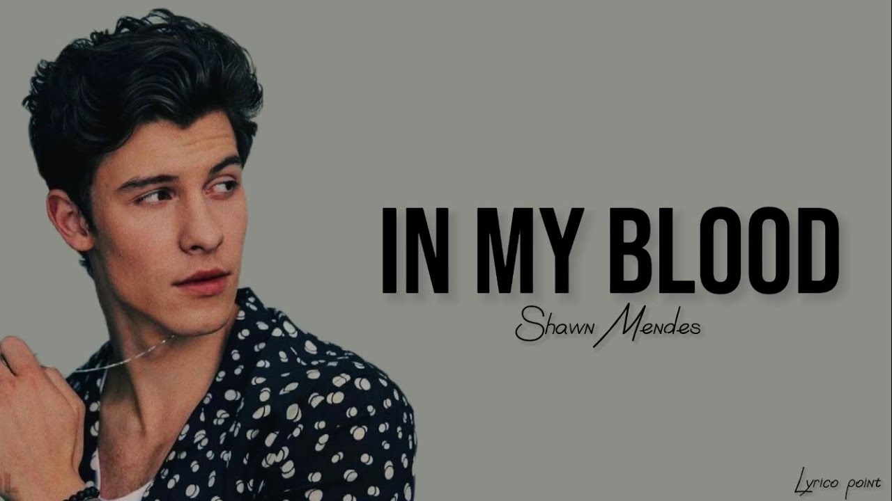 Shawn Mendes In My Blood Tekst