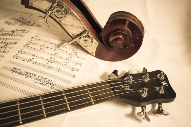 Instrumenty strunowe szarpane | Poradniki muzyczne | Sklep Muzyczny.pl Instrument Strunowy Szarpany Który Posiada 46 Kolorowych Stron