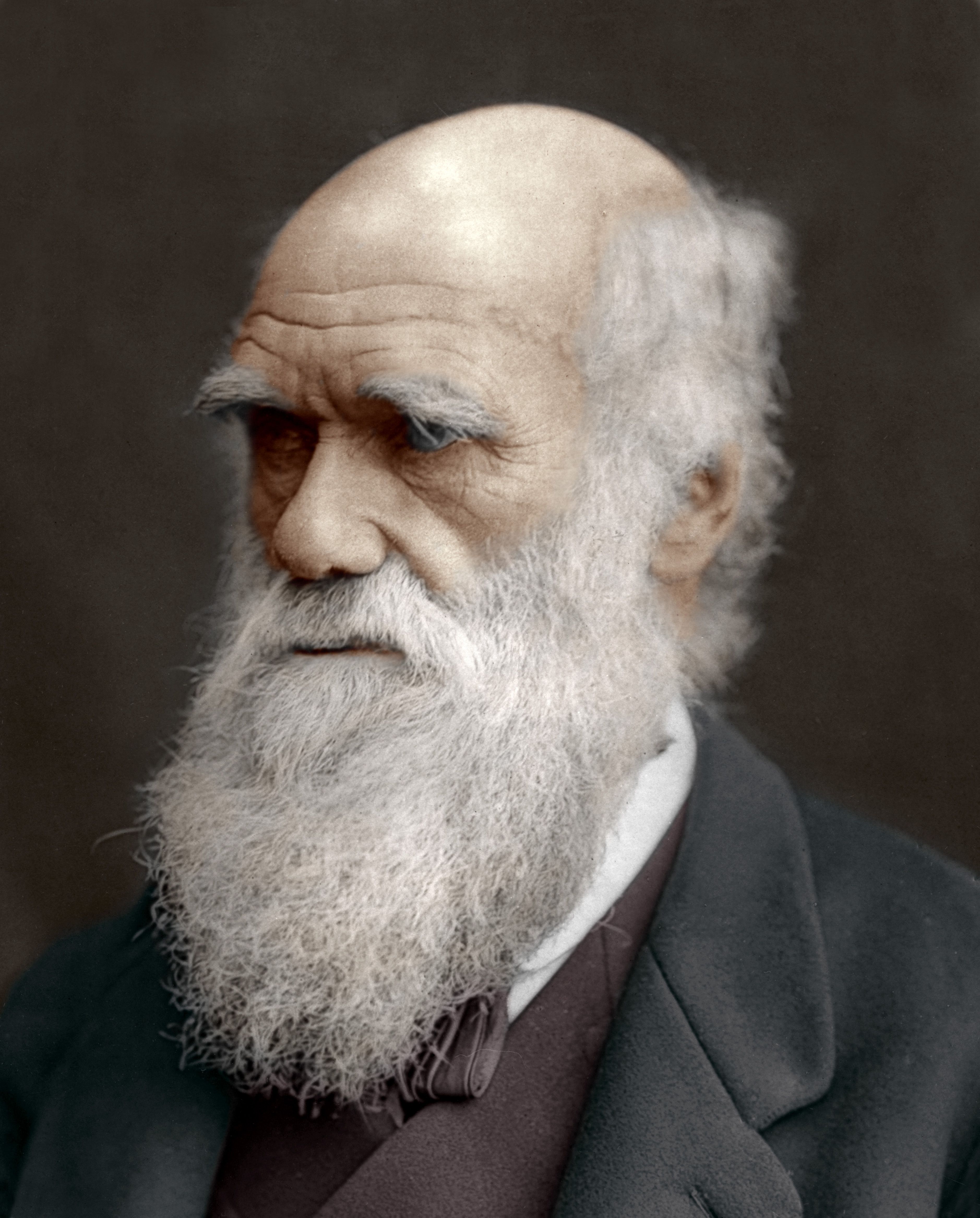 Interesting Facts About Charles Darwin Darwin O Wyrazie Uczuć U Człowieka I Zwierząt