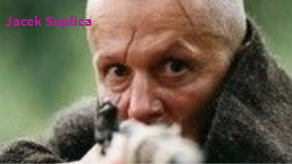 Jak Wyglądał Jacek Soplica W Młodości