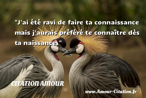 Je Suis Ravie De Faire Ta Connaissance
