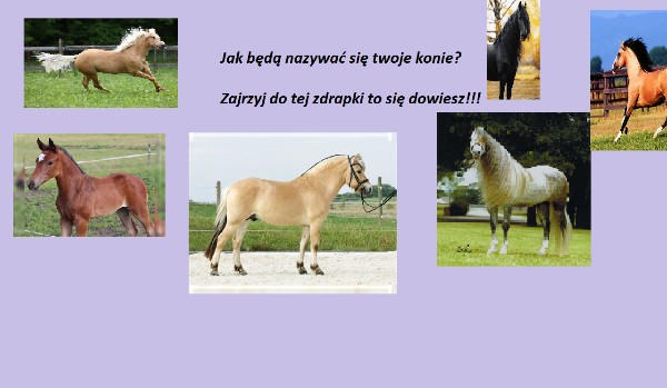 Jak Nazywala Sie Klacz Wokulskiego