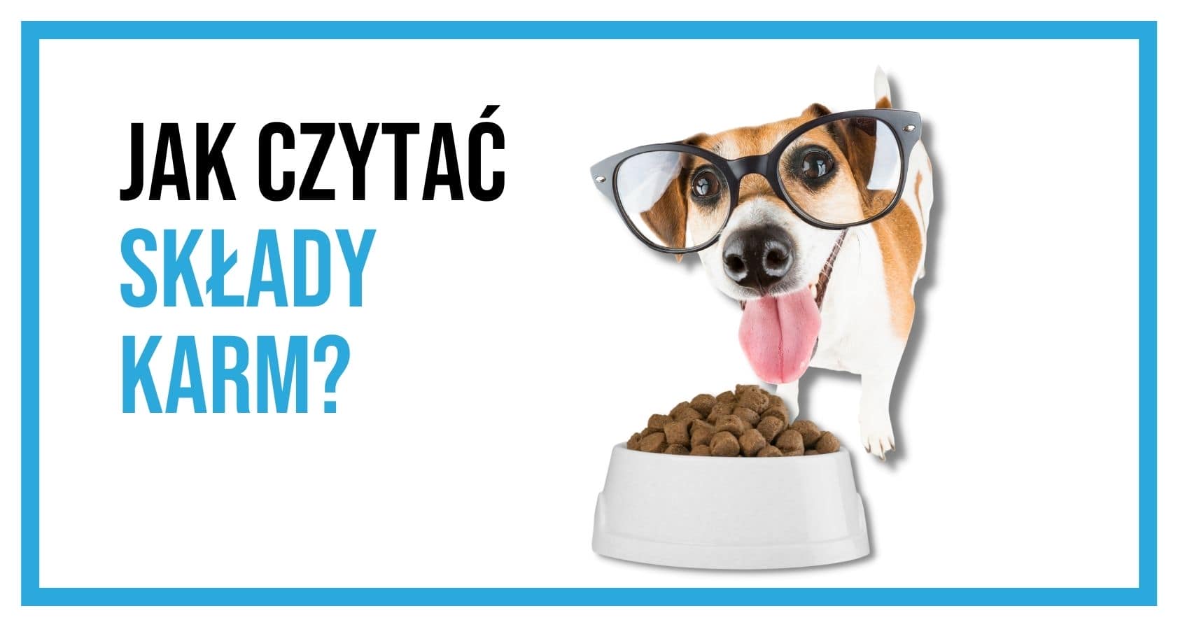 Jak czytać składy karm dla psów? • Passionblog For Dogs Jak Napisać Ogłoszenie O Zbiórce Karmy Dla Zwierząt Ze Schroniska