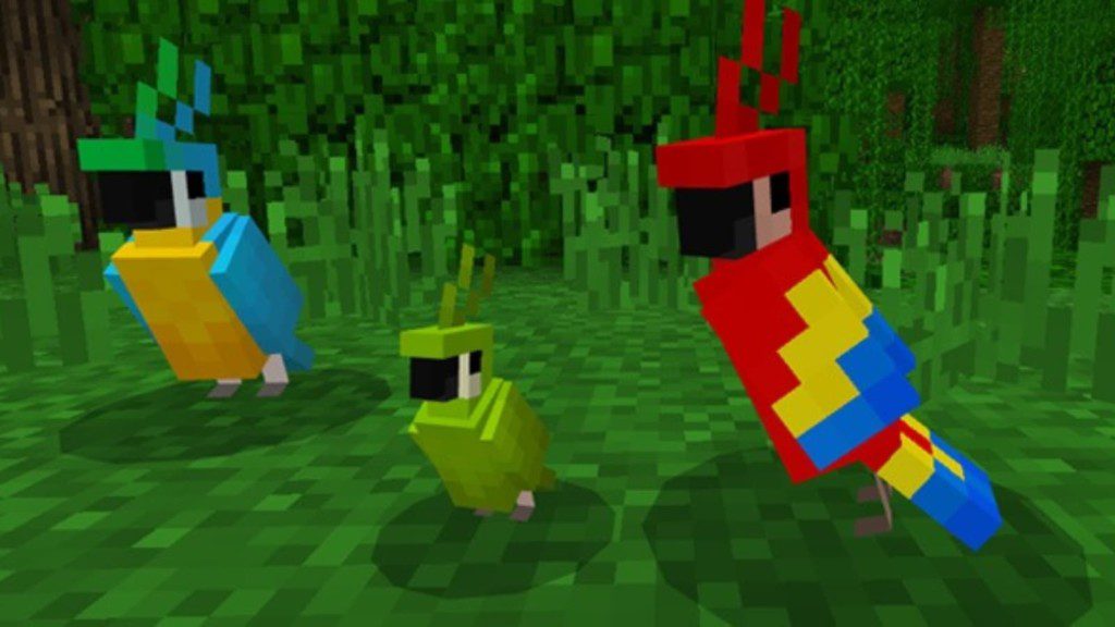 Jak Rozmnożyć Papugi W Minecraft