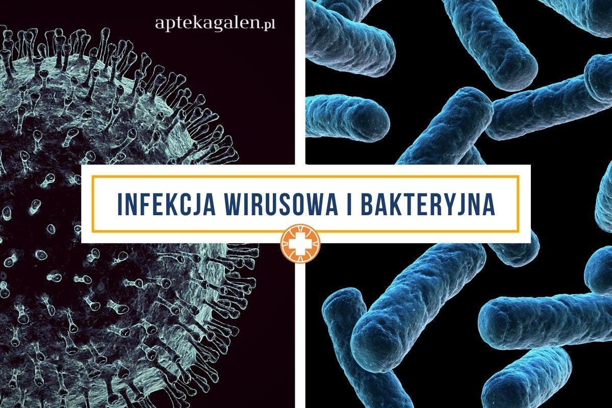 Różnorodność Wirusów Bakterii Protistów I Grzybów Sprawdzian Odpowiedzi