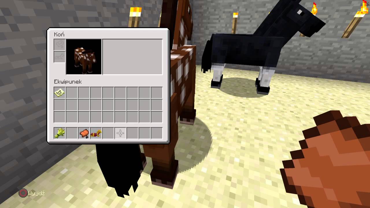 Jak Oswoić Konia W Minecraft Na Ps3