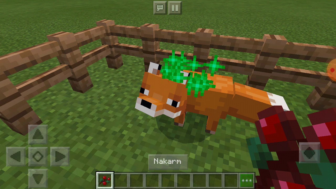Jak oswoić lisa w minecraft - YouTube Czym Sie Oswaja Lisa W Minecraft