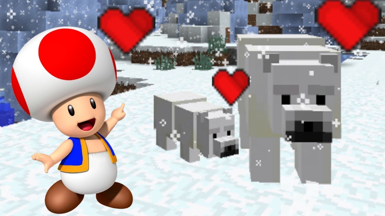 Jak oswoić niedźwiedźa polarnego w Minecraft Bobo - YouTube Jak Oswoić Niedźwiedzia Polarnego W Minecrafcie