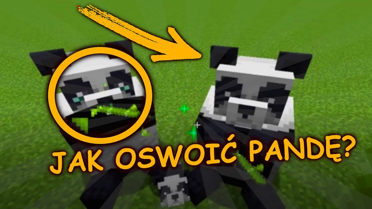 JAK oswoić PANDY w MINECRAFT? - YouTube Jak Rozmnożyć Pande W Minecraft