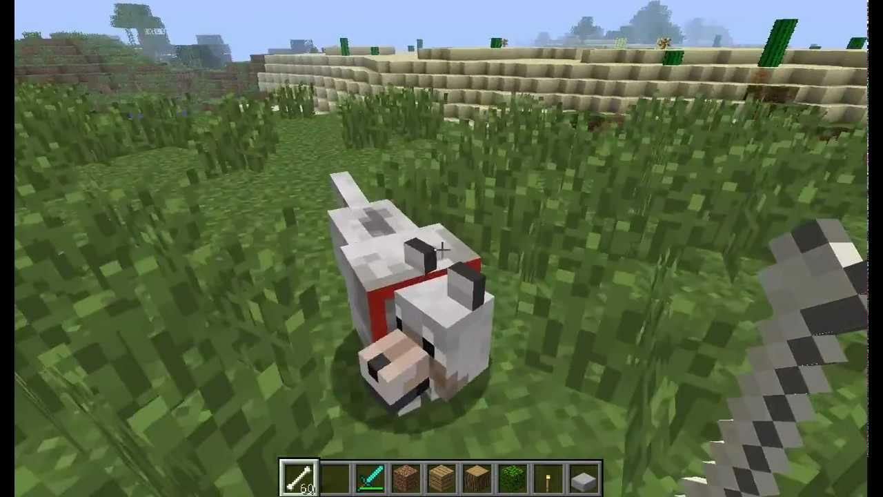 Jak Oswoic Wilka W Minecraft