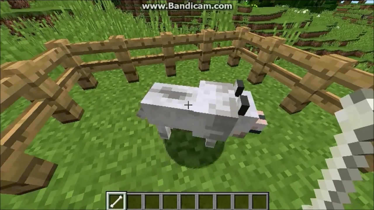jak oswoić wilka w Minecraft ? (OPIS) - ważne - YouTube Jak Oswoic Wilka W Minecraft