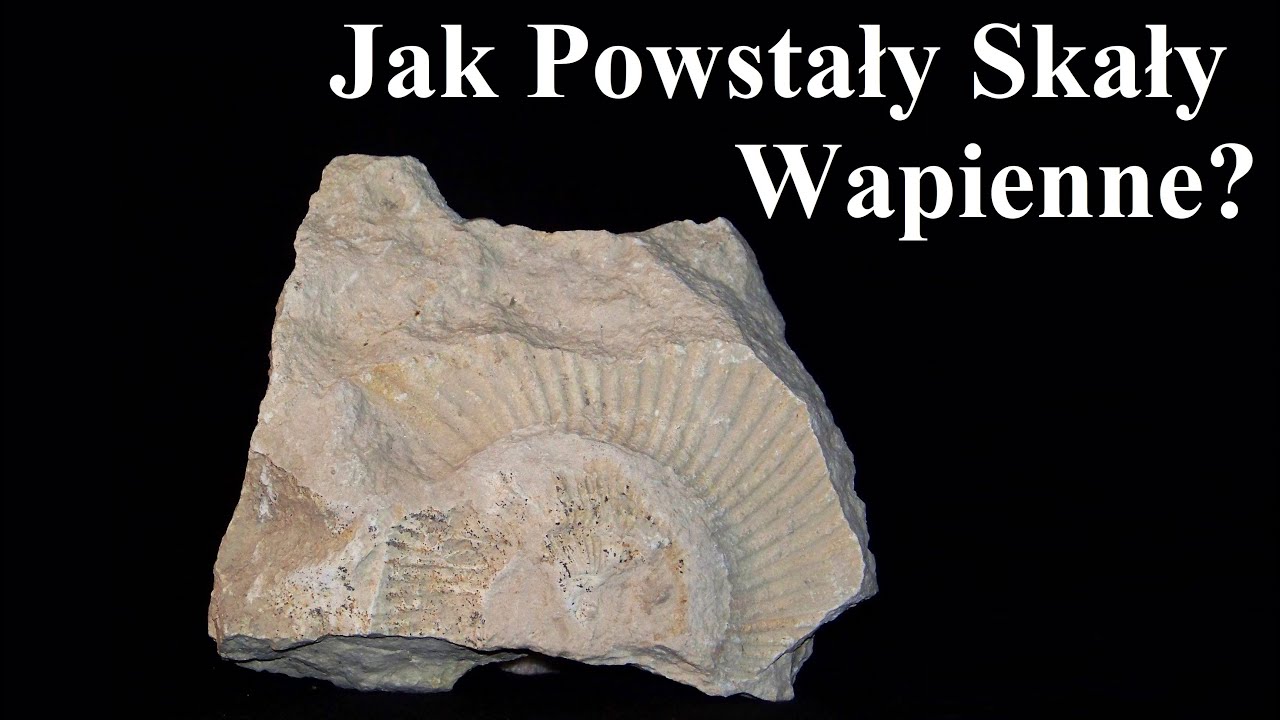 Porowata Skała Wapienna Stosowana W Budownictwie