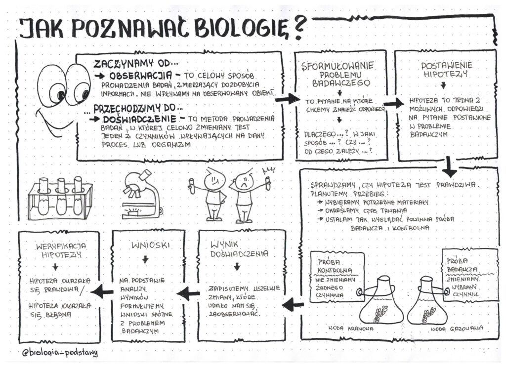 Jak Poznawać Biologię Klasa 5