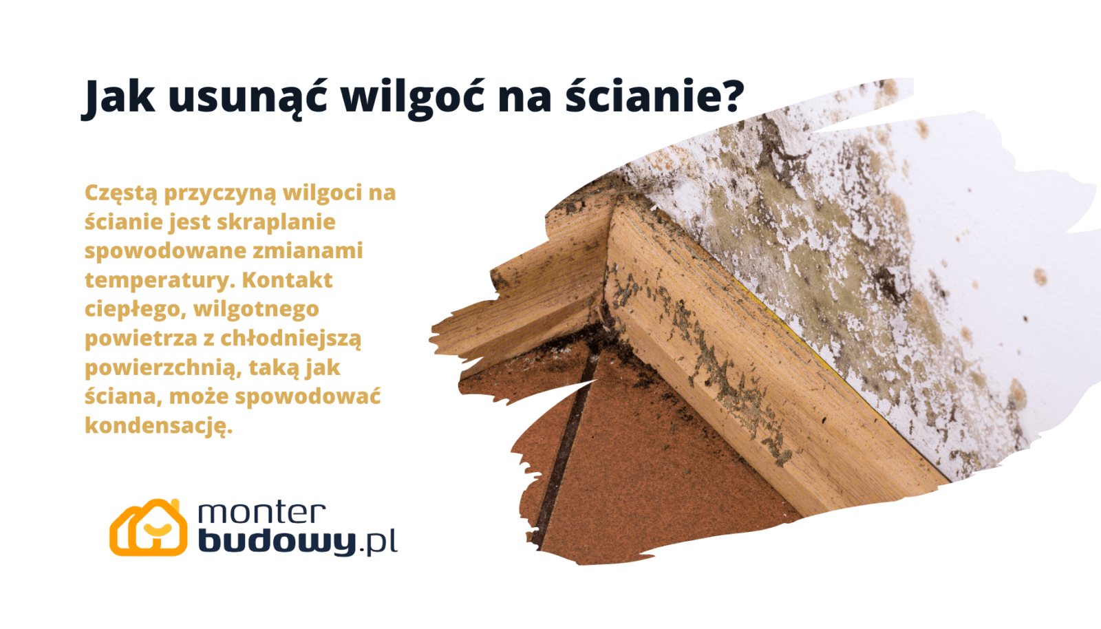 Jak usunąć wilgoć na ścianie? Metody i środki - MonterBudowy.pl Plama Wilgoci Na Suficie Krzyżówka