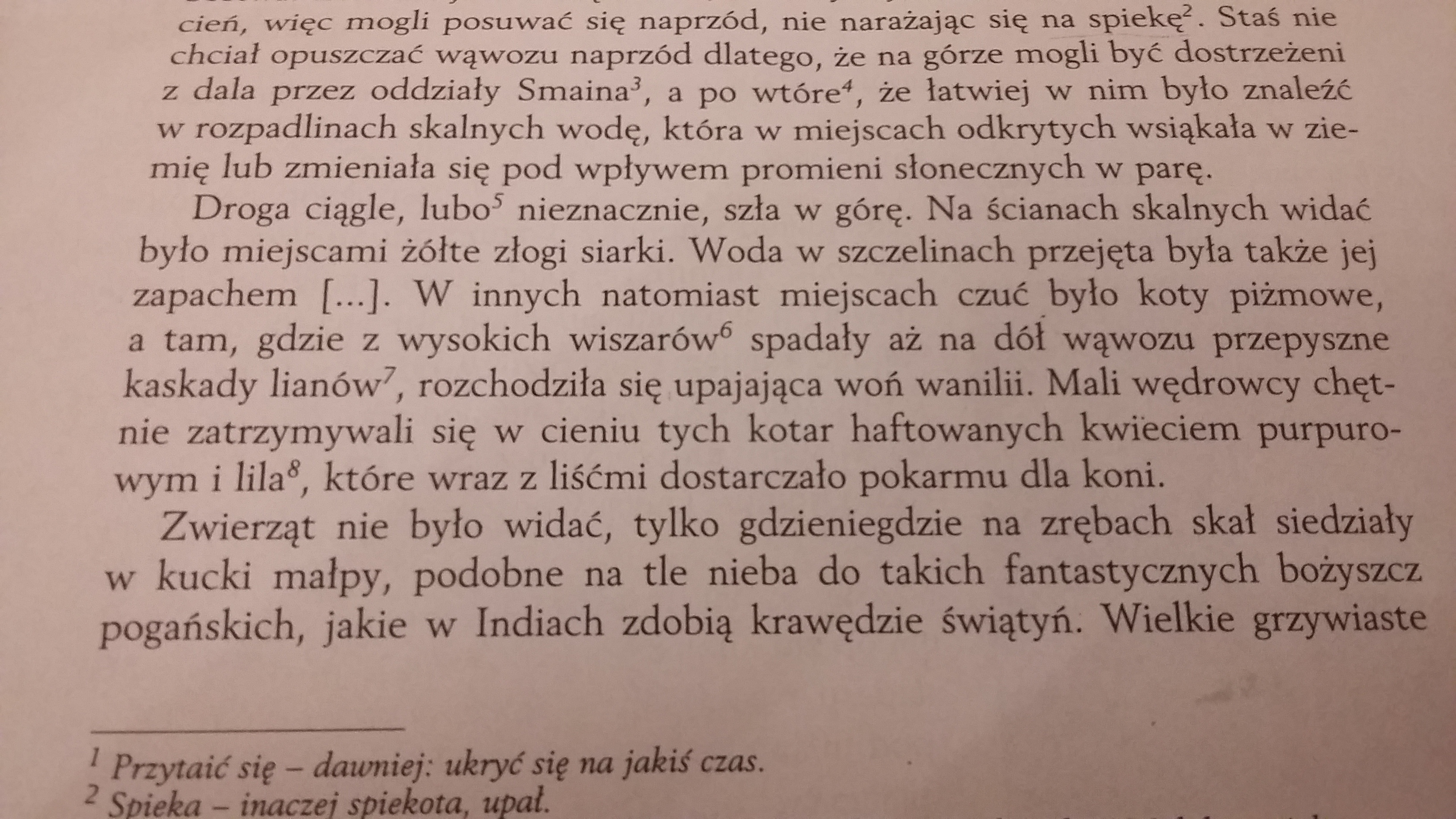 Jaka Sytuacja Została Ukazana We Fragmencie Tekstu