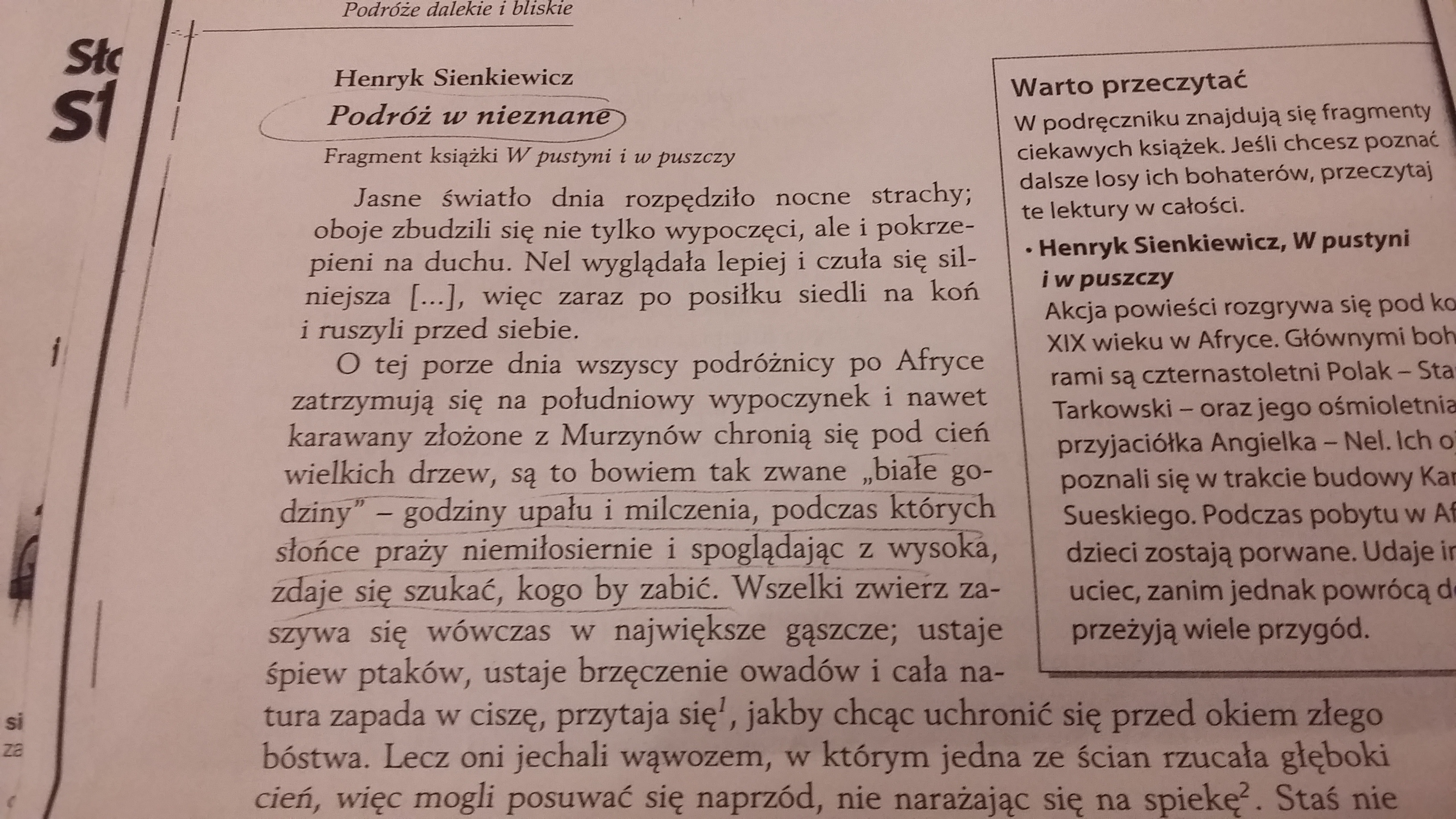 Jak we fragmencie tekstu została ukazana przyroda? Czy Afryka opisana Jaka Sytuacja Została Ukazana We Fragmencie Tekstu