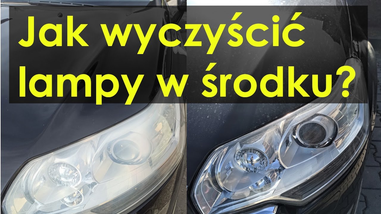 Człowiek Pochodzi Od Małpy Czy Od Boga