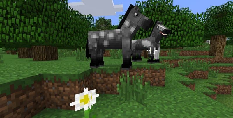 Jak Zdobyć Nasiona Marchewki W Minecraft