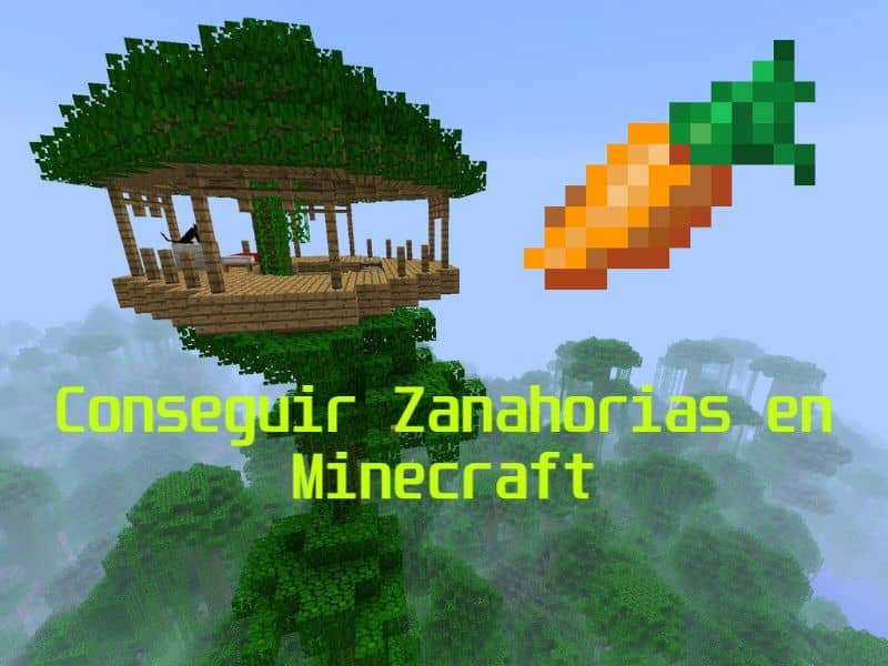Jak zdobyć marchewki lub nasiona marchwi z Minecrafta (przykład) - 2024 Jak Zdobyć Nasiona Marchewki W Minecraft
