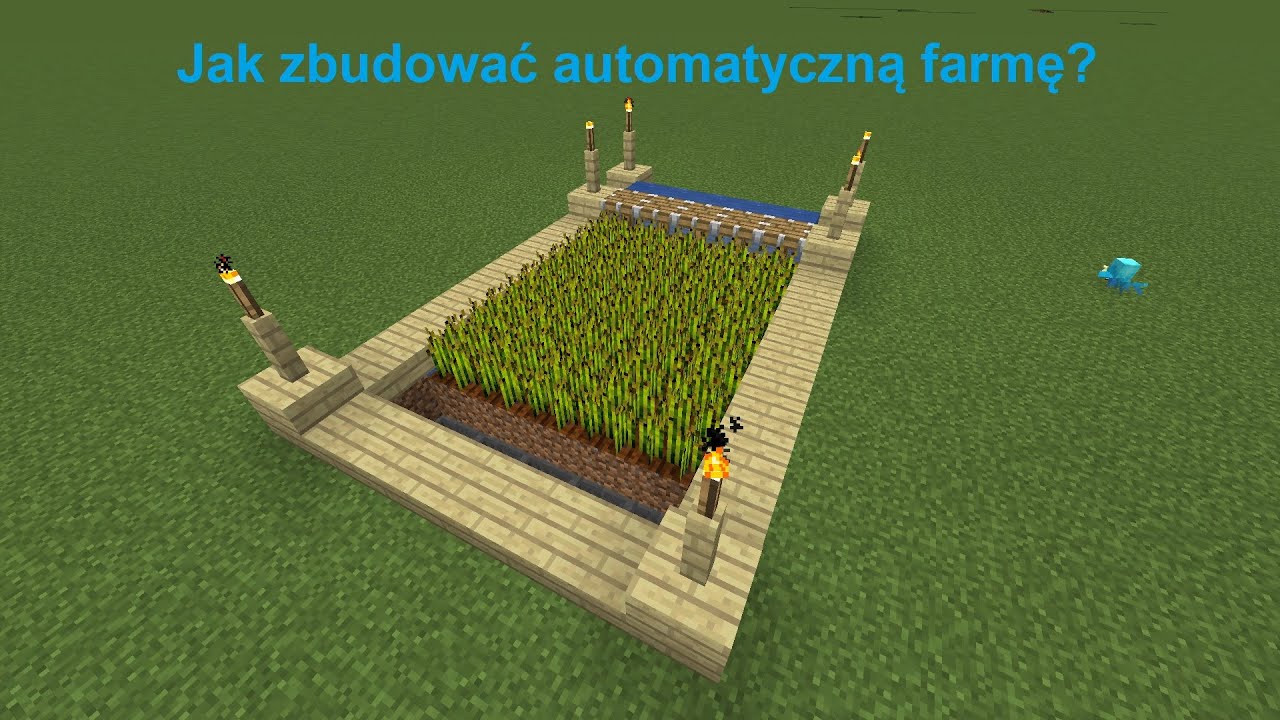 Jak Zrobić Farmę Wełny W Minecraft