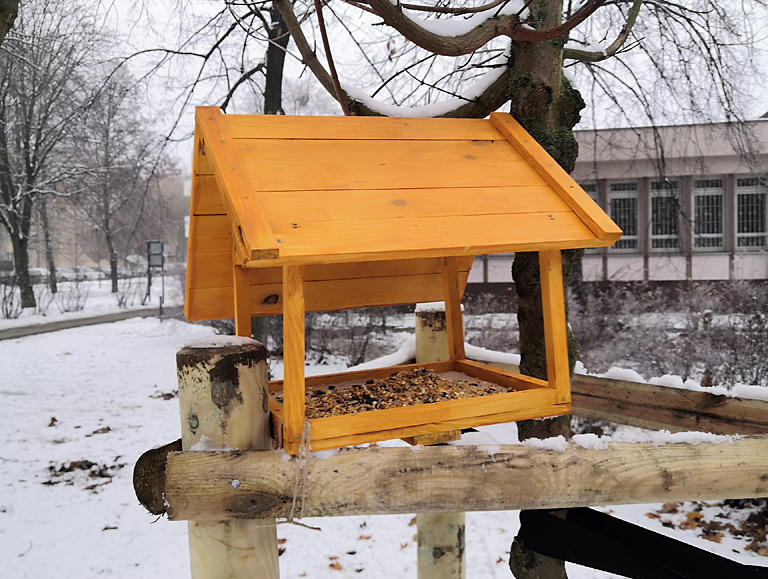 Projekt Techniczny Karmnika Dla Ptaków