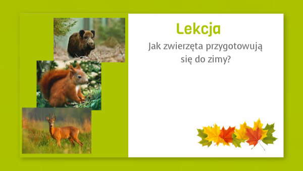 Jak zwierzęta przygotowują się do zimy? Przygotowania Zwierzat Do Zimy Karty Pracy